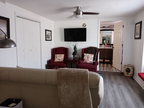 Smart TV, fireplace, books