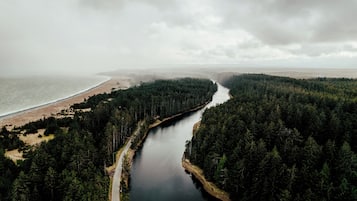 A river winding through a dense forest with a beach on one side.