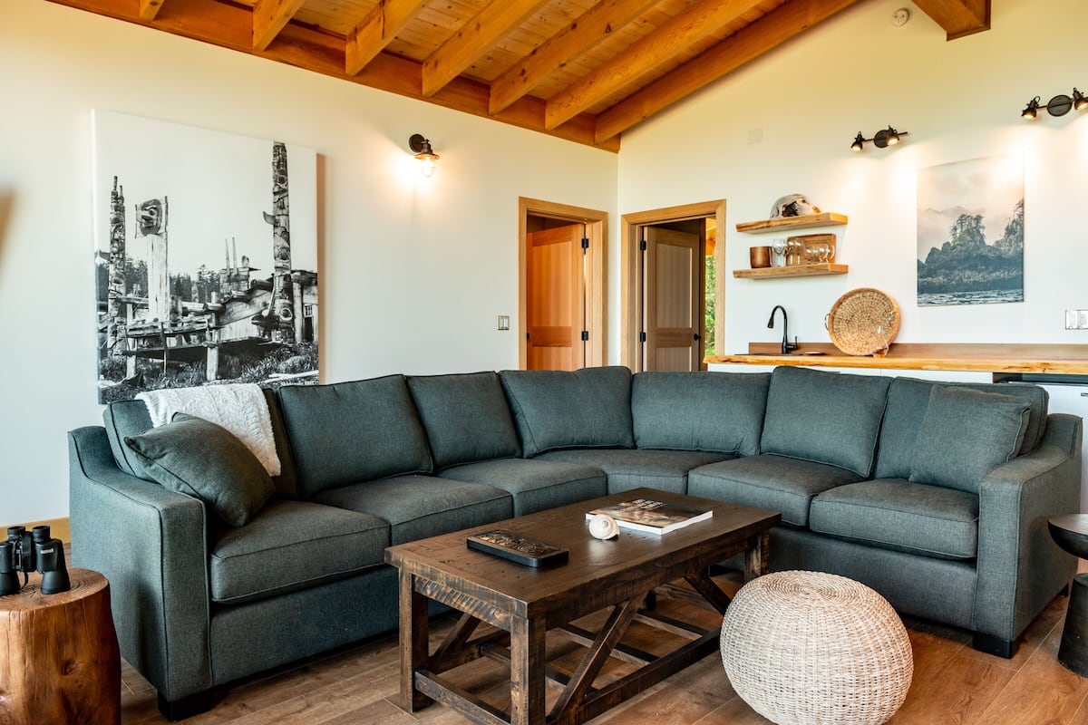 40 インチの薄型テレビ (衛星放送視聴可)、テレビ、iPod ドック