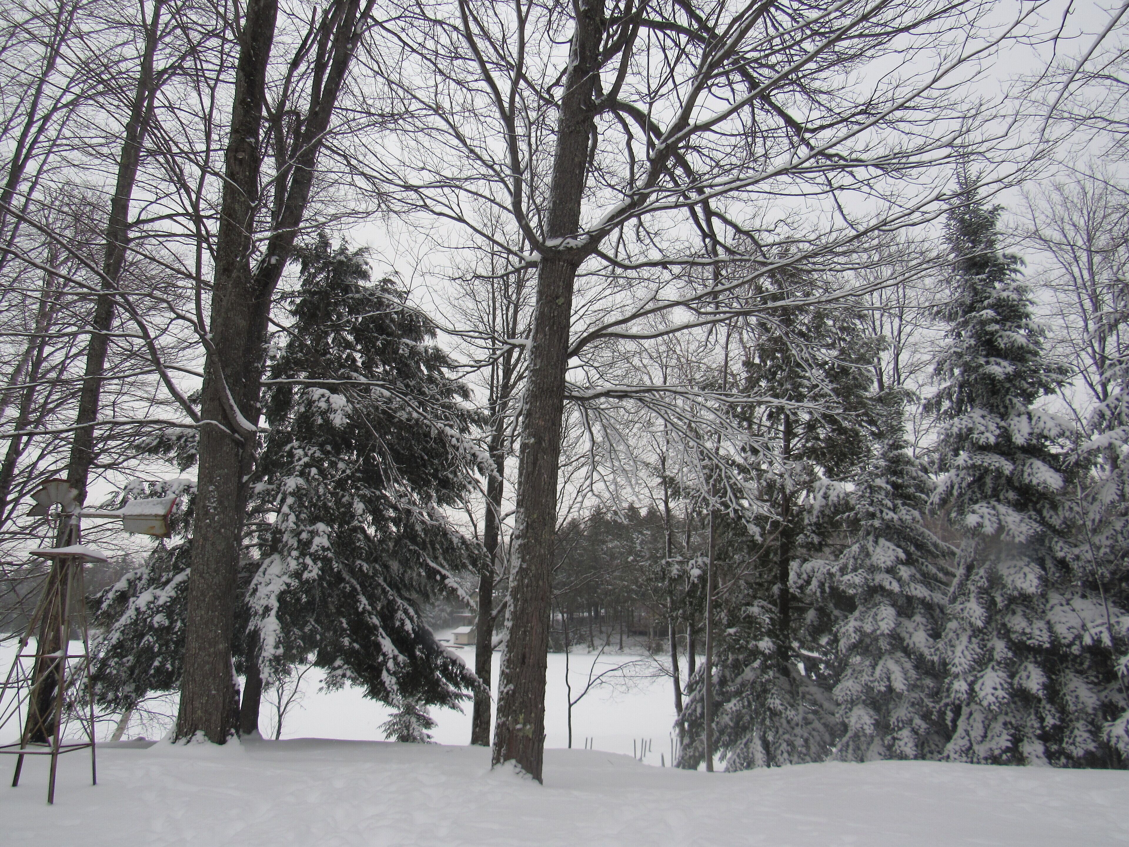 A snowy landscape with trees and a metal structure.