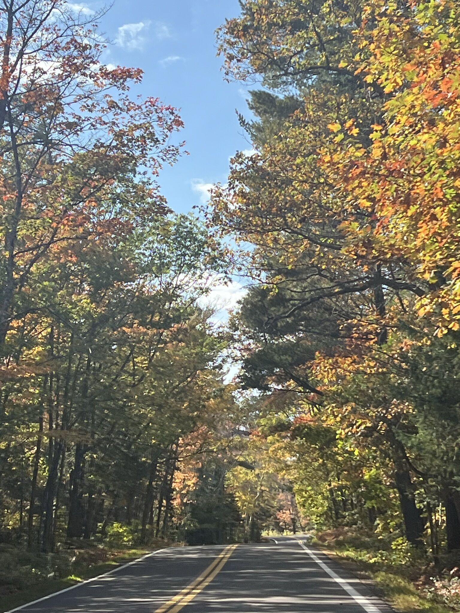 A road flanked by trees with autumn foliage.