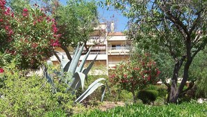 Exterior detail - APARTMENT BRISE MARINE (BORMES-LES-MIMOSAS)