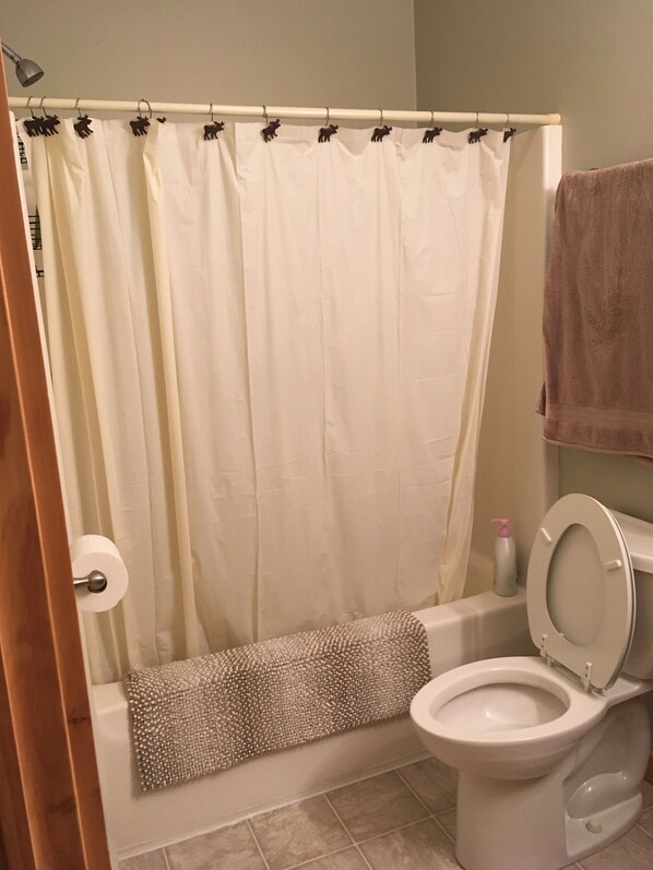 A bathroom with a shower curtain, a towel, a toilet, and a toilet paper holder. - Adirondack Experience (Old Forge)