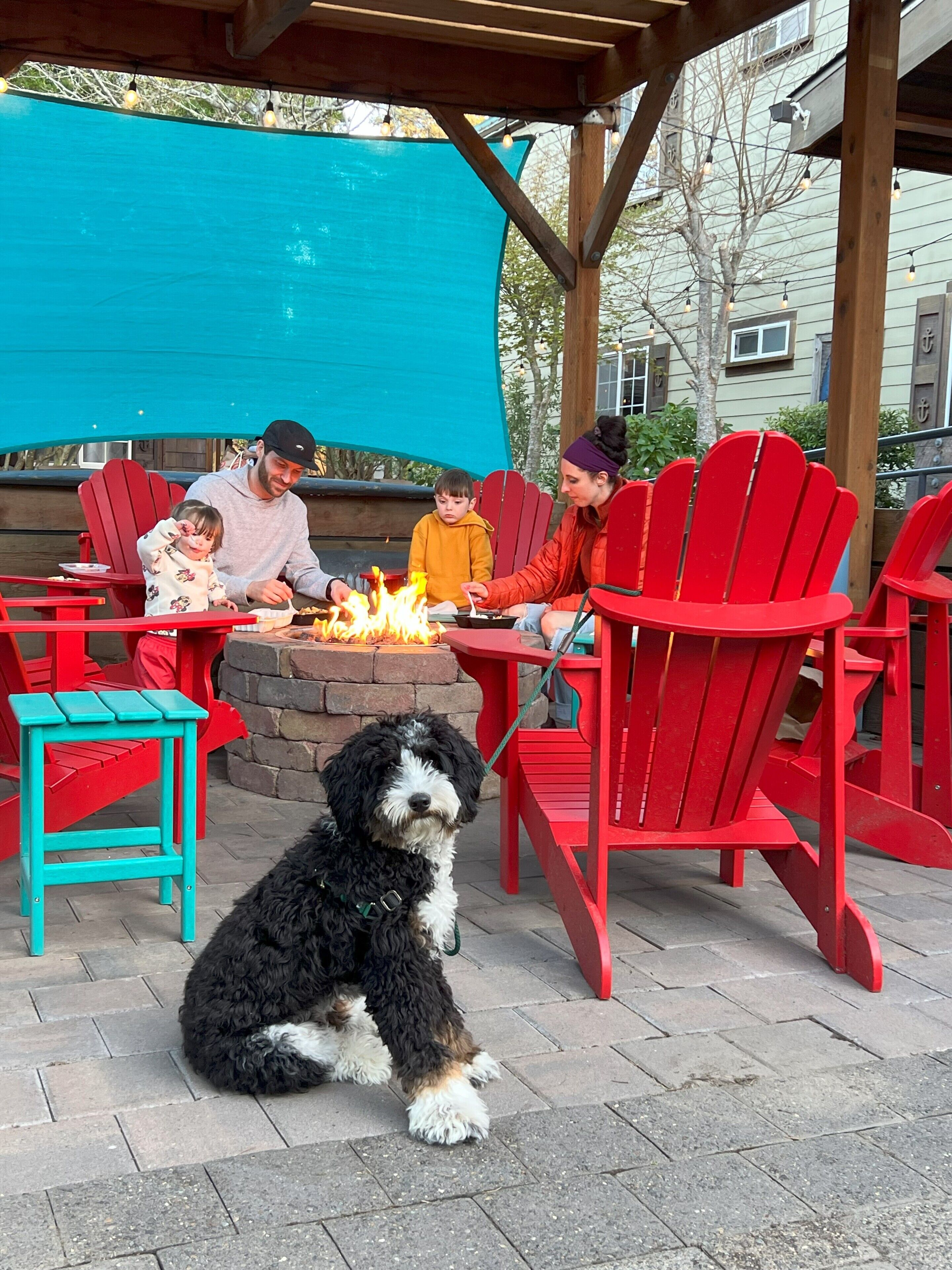 A family dining outdoors with a fire pit, red chairs, and a dog.