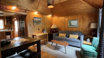 Courtyard Cabin 1- Pet Friendly | 起居区 | 32-英寸智能电视(配备数码频道)、电视、DVD 播放器
