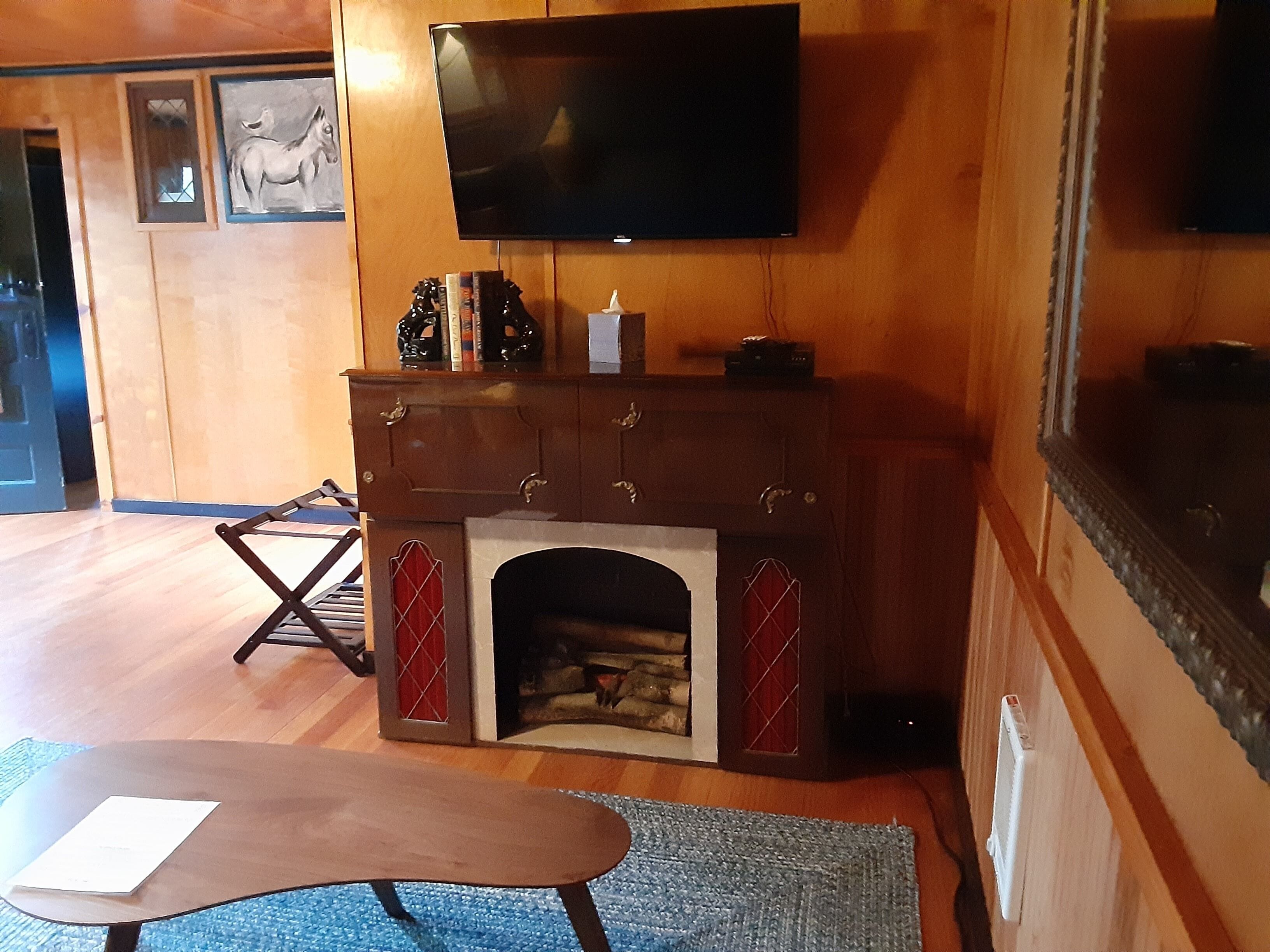 family cabin- pet friendly | living area | 32-inch smart tv with digital channels, tv, dvd player