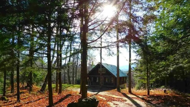 A cabin surrounded by tall trees with a dirt path leading to it. - 10 min from Stratton! Log Cabin w/ Beautiful Views (South Londonderry)