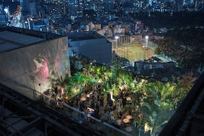 Rooftop terrace