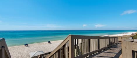 بالقرب من الشاطئ