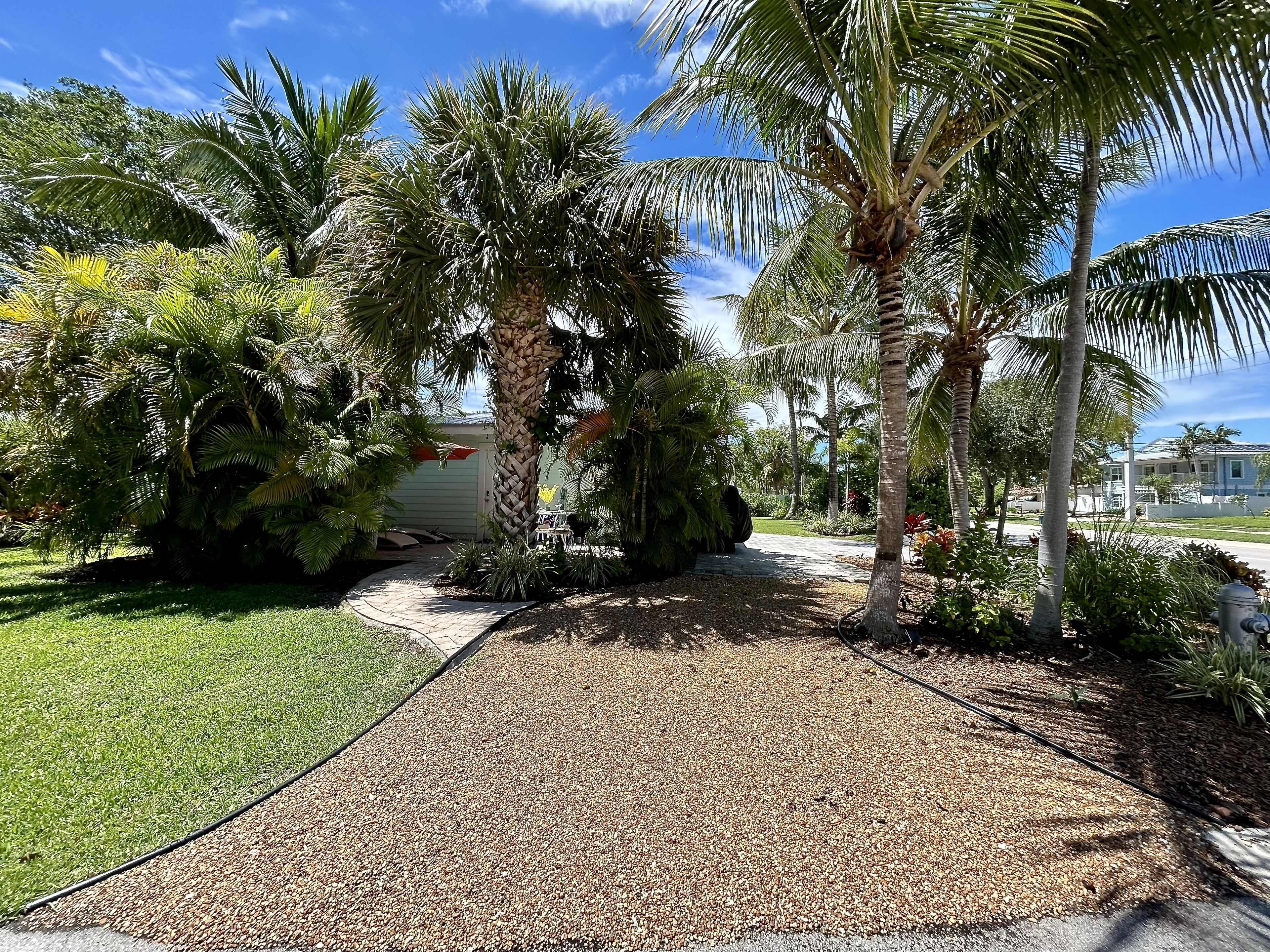 A pathway leading to a building surrounded by palm trees and greenery.
