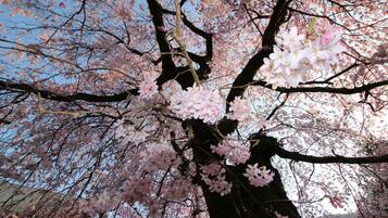 獨棟房屋 (Private Vacation Home) | 客房景觀