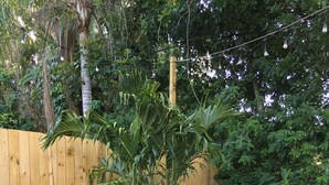 Un jardín con una palmera, cerca de madera y un camino de grava.