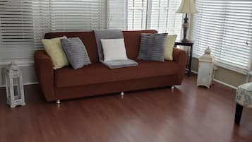 TV connectée, cheminée, lecteur de DVD, livres
