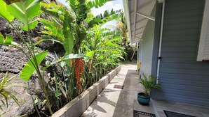 A concrete pathway leading to a house with a grey door, surrounded by lush green plants and a small potted plant on the doorstep. - Magnificent views of the sea and islands of Les Saintes, lulled by the sound of the waves. (Trois Rivieres)