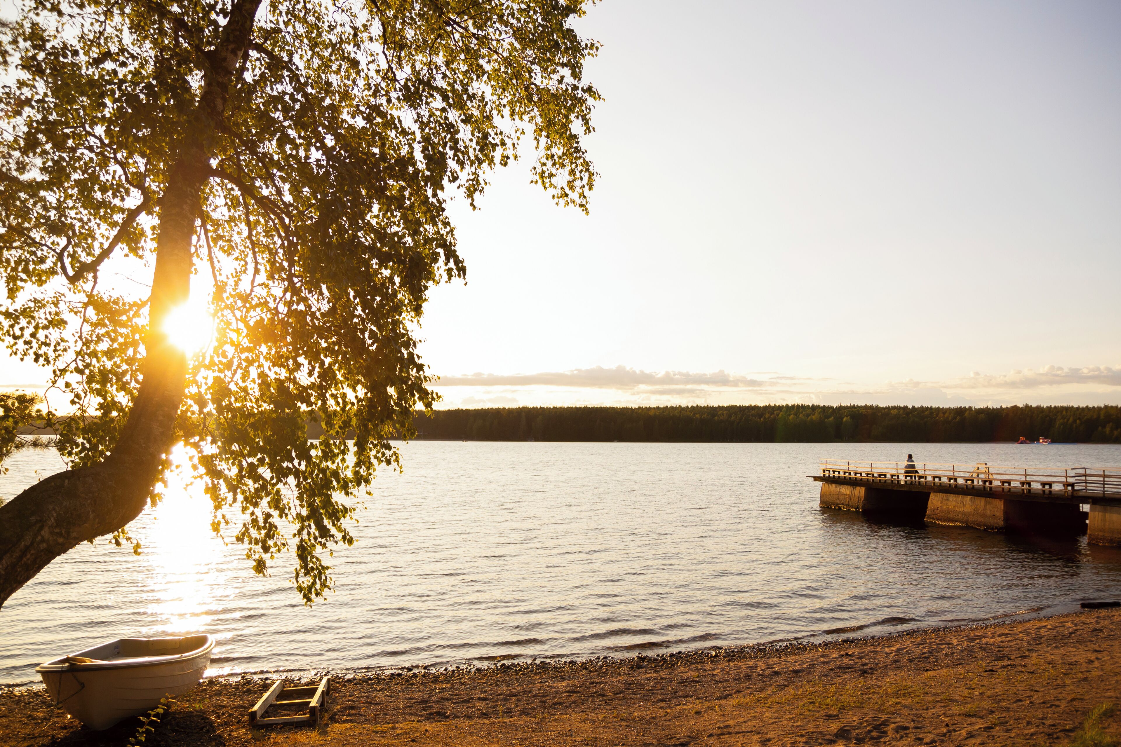 A boat docked near a tree by a calm lake with a pier in the background.