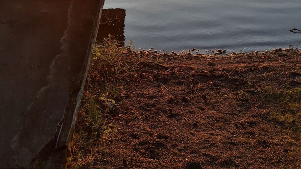 Una cabaña de troncos con un porche que da a un lago tranquilo al atardecer.