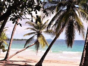 A beach with palm trees and a view of the ocean. - Villa Kanelle, ideal location, beach and shops 100 m'away (Le Diamant)