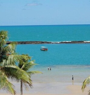 A beach with clear blue water, a rocky breakwater, and palm trees.