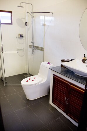 Shower, hair dryer, towels