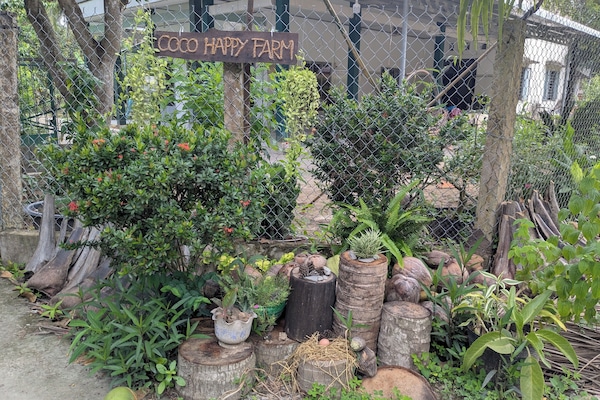 Front of property