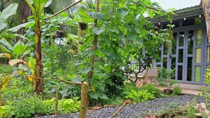 Un jardin luxuriant, avec différentes espèces de plantes, et une chaise au premier plan.