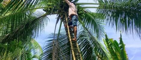 Voorkant van accommodatie