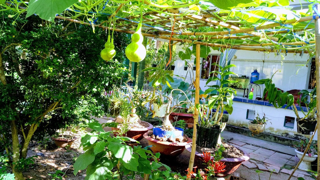 Coco Happy Farmstay, Giong Trom: Reviews & Hotel Deals | Book at Hotels.com