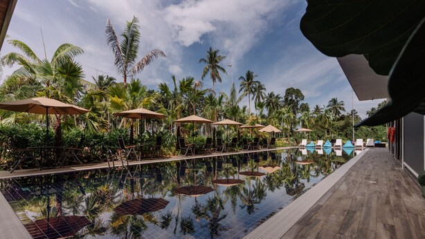 A poolside area with lounge chairs and umbrellas, surrounded by palm trees and a clear sky. - Roxy Sematan Villa & Townhouse (Lundu)