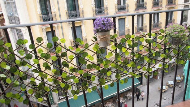 A balcony with a potted plant, a street view with buildings, and outdoor seating.