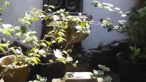 A garden area with potted plants and a decorative stone structure. - Beatrice House (Galle)