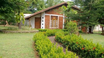 Vista al jardín