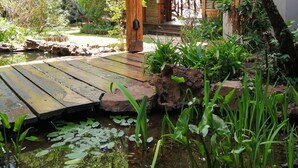 Una terraza de madera que lleva a un edificio con puerta de vidrio, rodeado de abundante vegetación y un pequeño estanque.