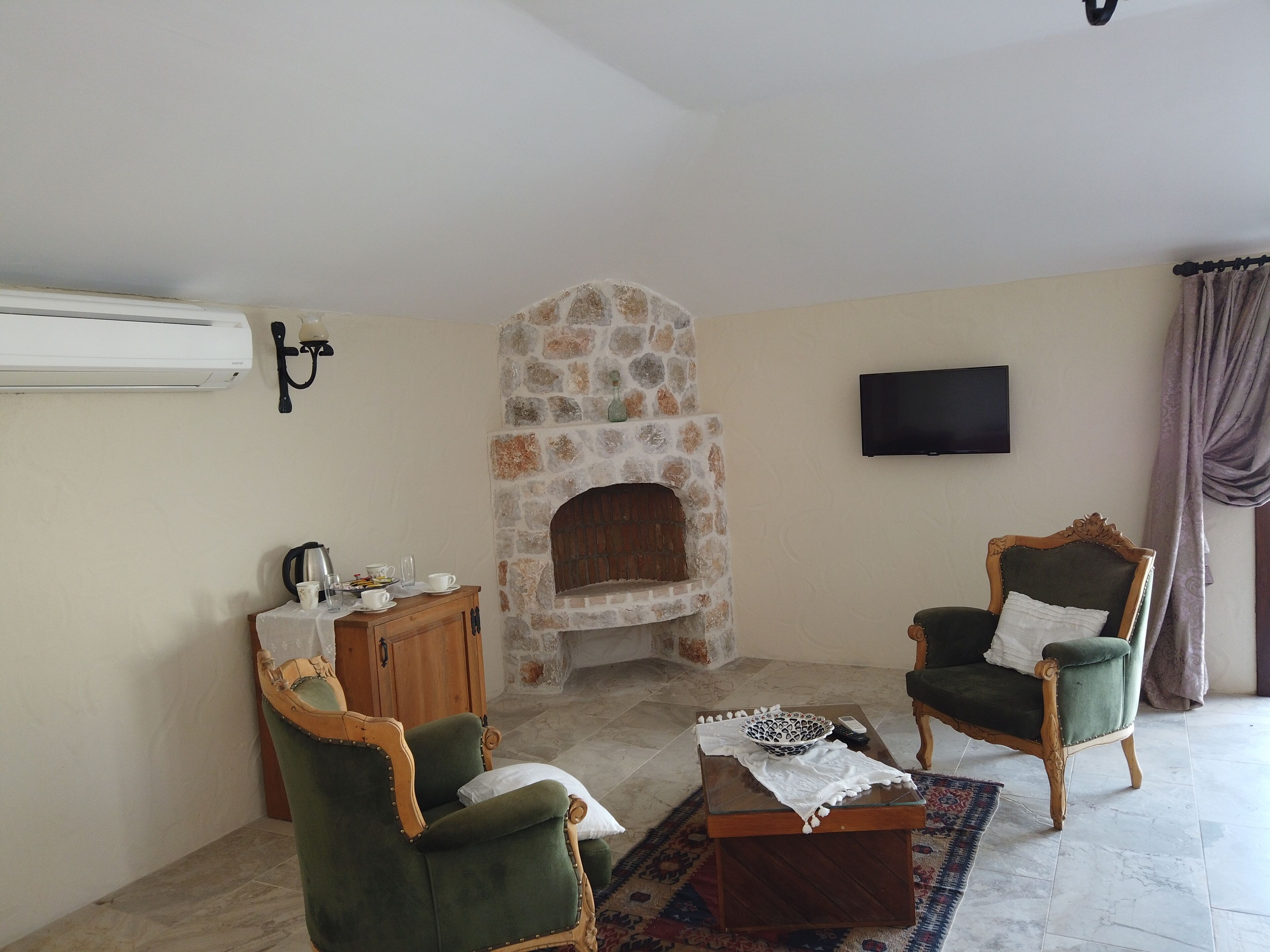 TV, fireplace, books