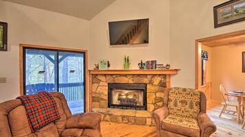 TV, fireplace, books