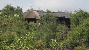 Un bâtiment traditionnel à toit de chaume, entouré d’une végétation luxuriante.