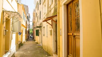 A narrow alleyway between buildings with a wooden door and a metal gate on the right.