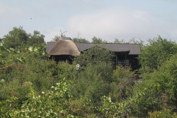 Exterior - Leopard Rock Bush Lodge In Africa. Book today for your Big 5 Experience. (Phalaborwa)