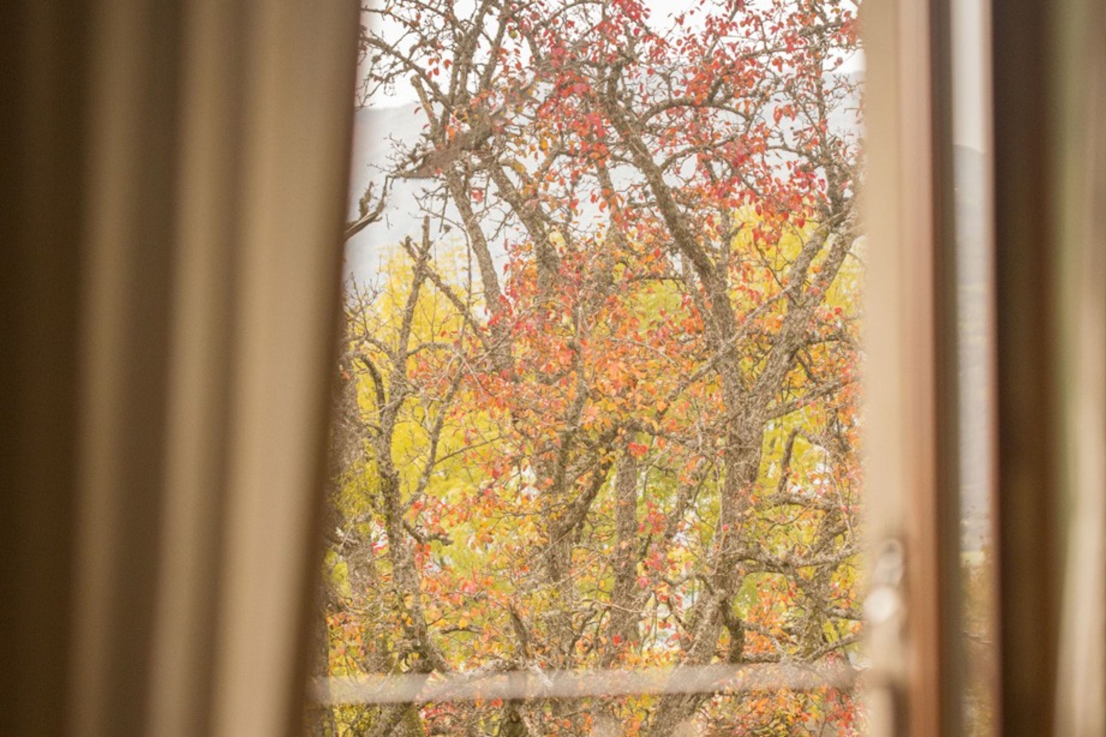 Foto - Le Bonheur dans le Pré