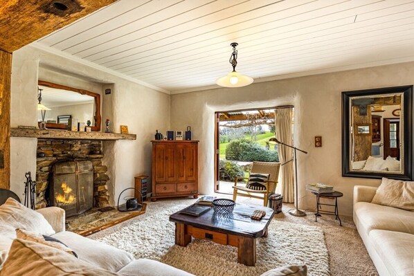 TV, fireplace, DVD player, books