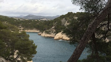 Un paysage côtier caractérisé par un terrain rocheux, une forêt dense de pins et une mer calme.