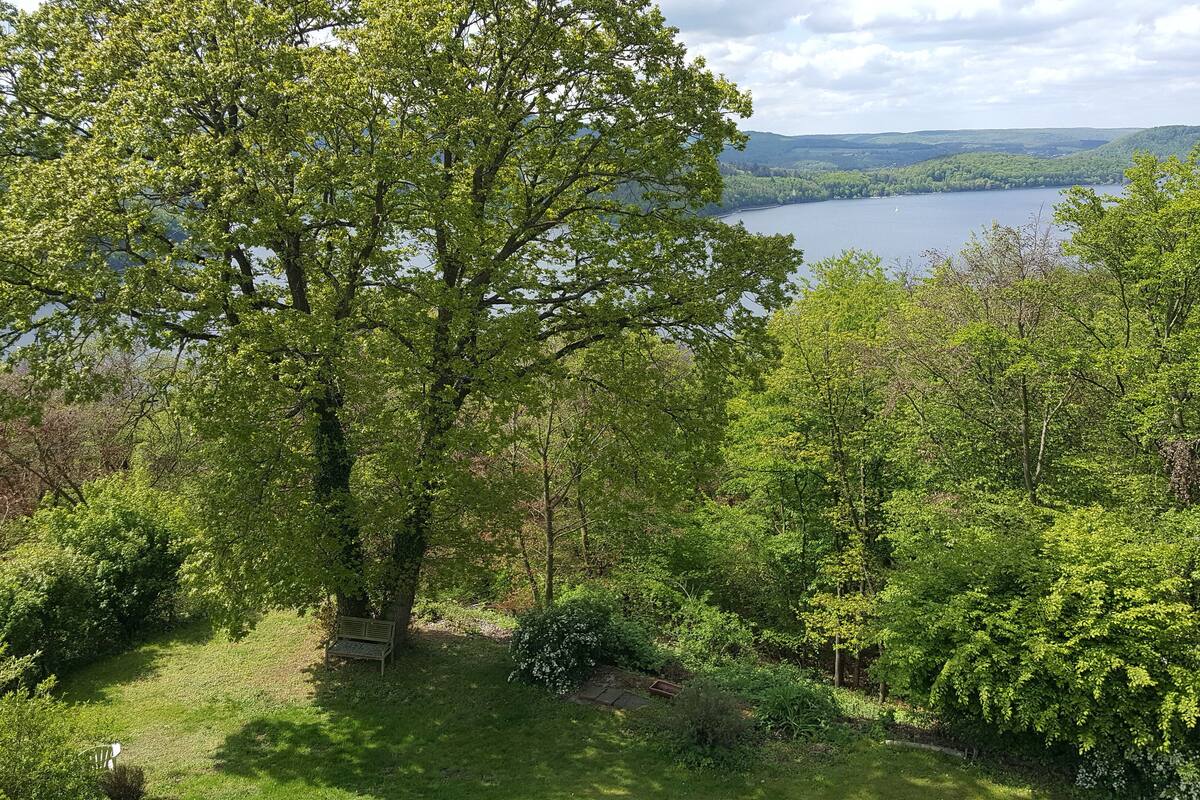 A large tree with a bench in a lush green area.