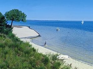 Beach nearby - Quiet T2 in Biscarrosse Beach, parking included (Biscarrosse Plage)