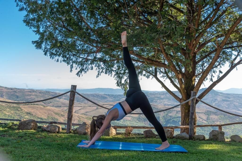 Une personne effectue une posture de yoga sur un tapis, avec en arrière-plan une vue panoramique sur des collines et un arbre.