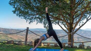 Une personne effectue une posture de yoga sur un tapis, avec en arrière-plan une vue panoramique sur des collines et un arbre.
