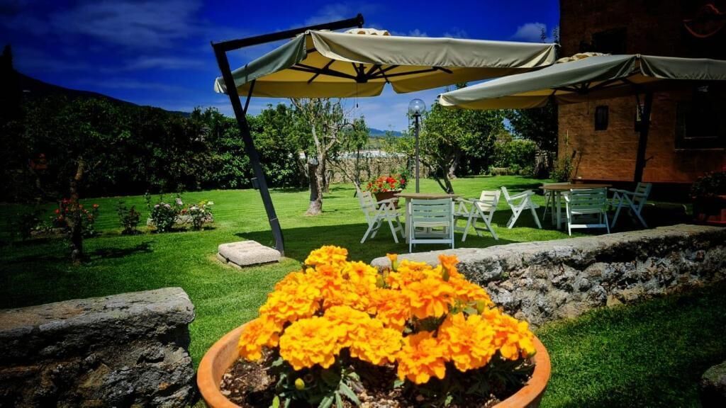 A garden with a patio area, outdoor seating, and a view of a mountain.