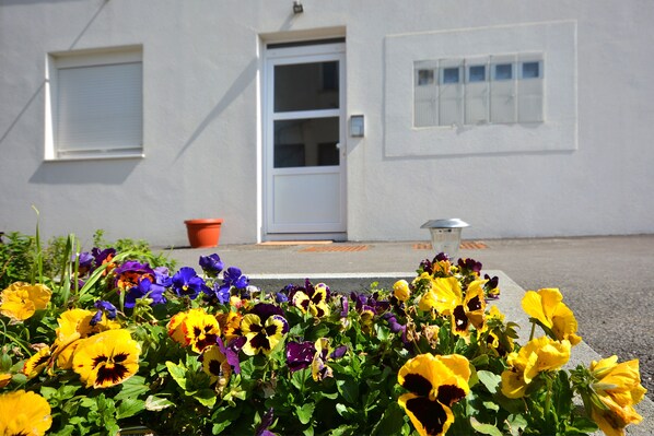 Vibrant pansies adorn the entrance, surrounded by a charming building with a white door and windows.