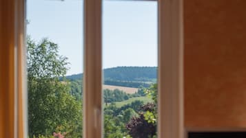 Classic Double or Twin Room | View from room