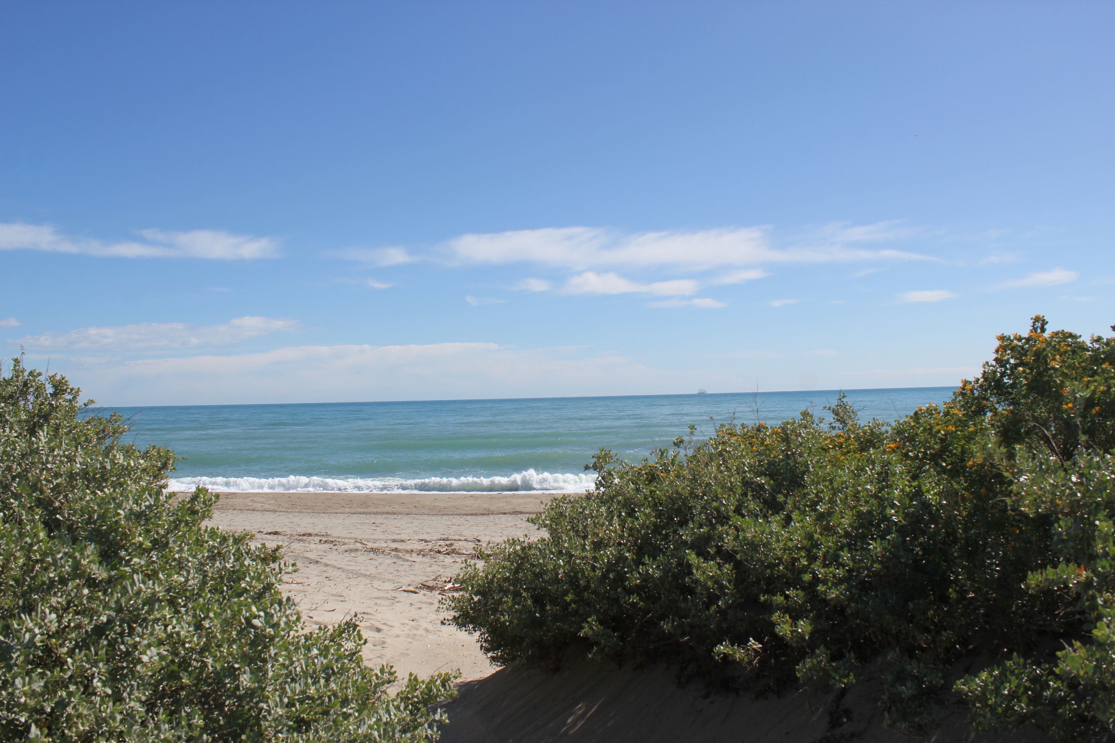 A beach with clear skies and calm waters.