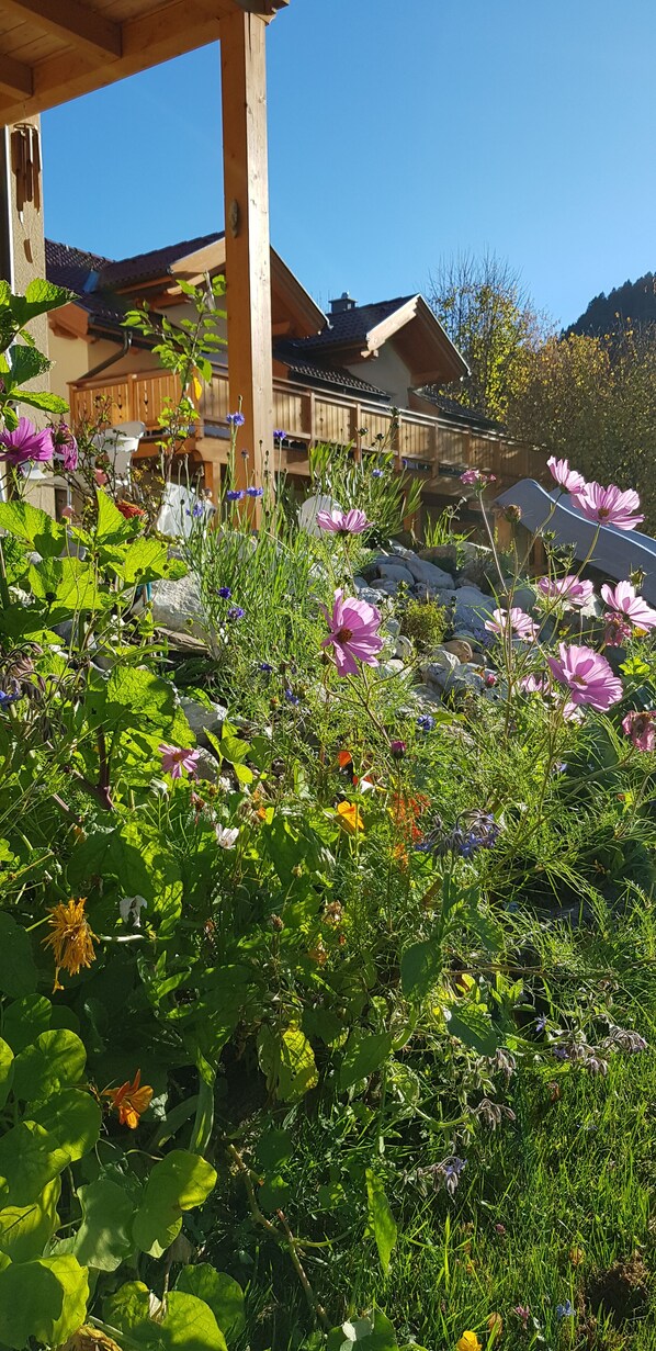 Un jardin agrémenté de différentes sortes de fleurs et doté d’une structure en bois.