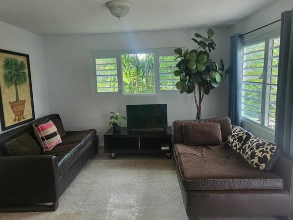A living room with two sofas, a TV, and a large plant.